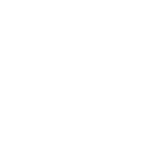 VAYZR